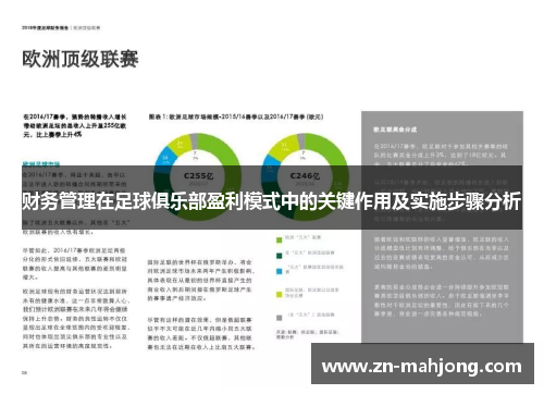 财务管理在足球俱乐部盈利模式中的关键作用及实施步骤分析