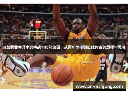 老詹职业生涯中的挑战与应对策略:从青年才俊到篮球传奇的历程与思考 老詹职业生涯中的挑战与应对策略:从青年才俊到篮球传奇的历程与思考